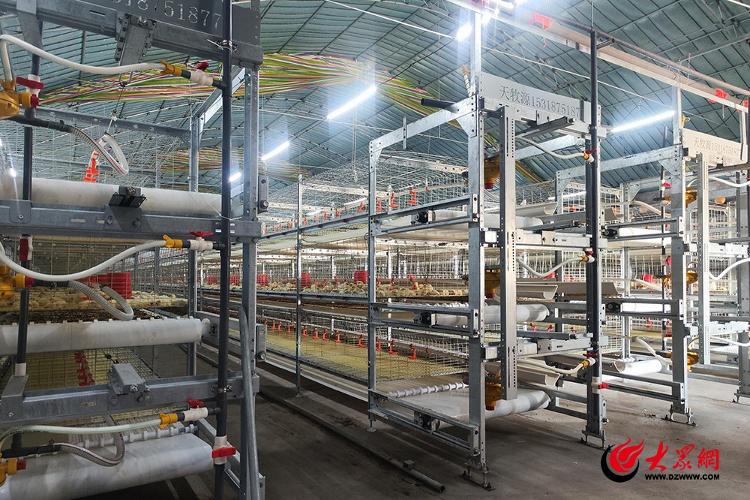 瞄准新科技打好“绿色牌”平度市南村镇一家养殖场变身省级生态农场(图1)