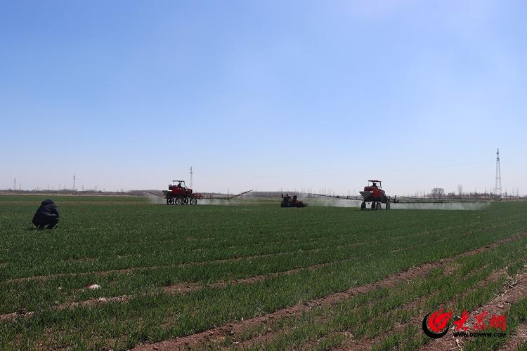 瞄准新科技打好“绿色牌”平度市南村镇一家养殖场变身省级生态农场(图3)