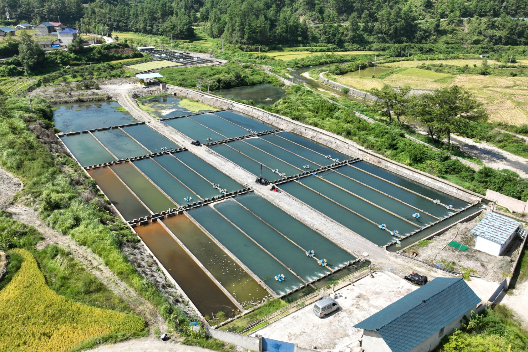 贵州岑巩杏彩体育：生态冷水养殖走出致富新路径(图2)