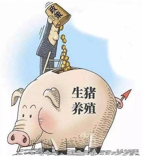 2024年国家养殖扶持政策解读:繁荣之路上的九大举措(图3)