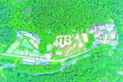 江西省九江市武宁县罗坪镇长水村：产业带动破解治理难题(图1)