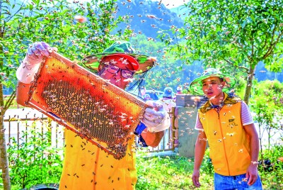 江西省九江市武宁县罗坪镇长水村：产业带动破解治理难题(图2)