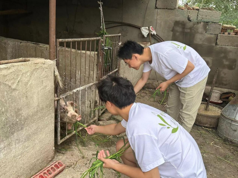 北京交通大学社会实践团走进内蒙古扎赉特旗助力乡村振兴发展(图1)