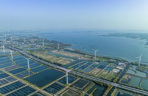 远洋服务考察“阳澄精灵”大杏彩体育平台闸蟹基地:共探生态养殖新篇章(图4)