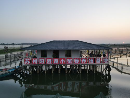 远洋服务考察“阳澄精灵”大杏彩体育平台闸蟹基地:共探生态养殖新篇章(图5)