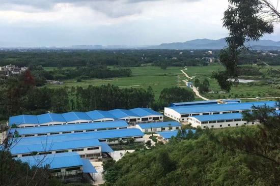 杏彩体育平台博白：实施生态化养殖助力农业经济高质量发展(图1)