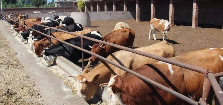 2024年养殖业将迎来两大变革、两大危机！(图4)