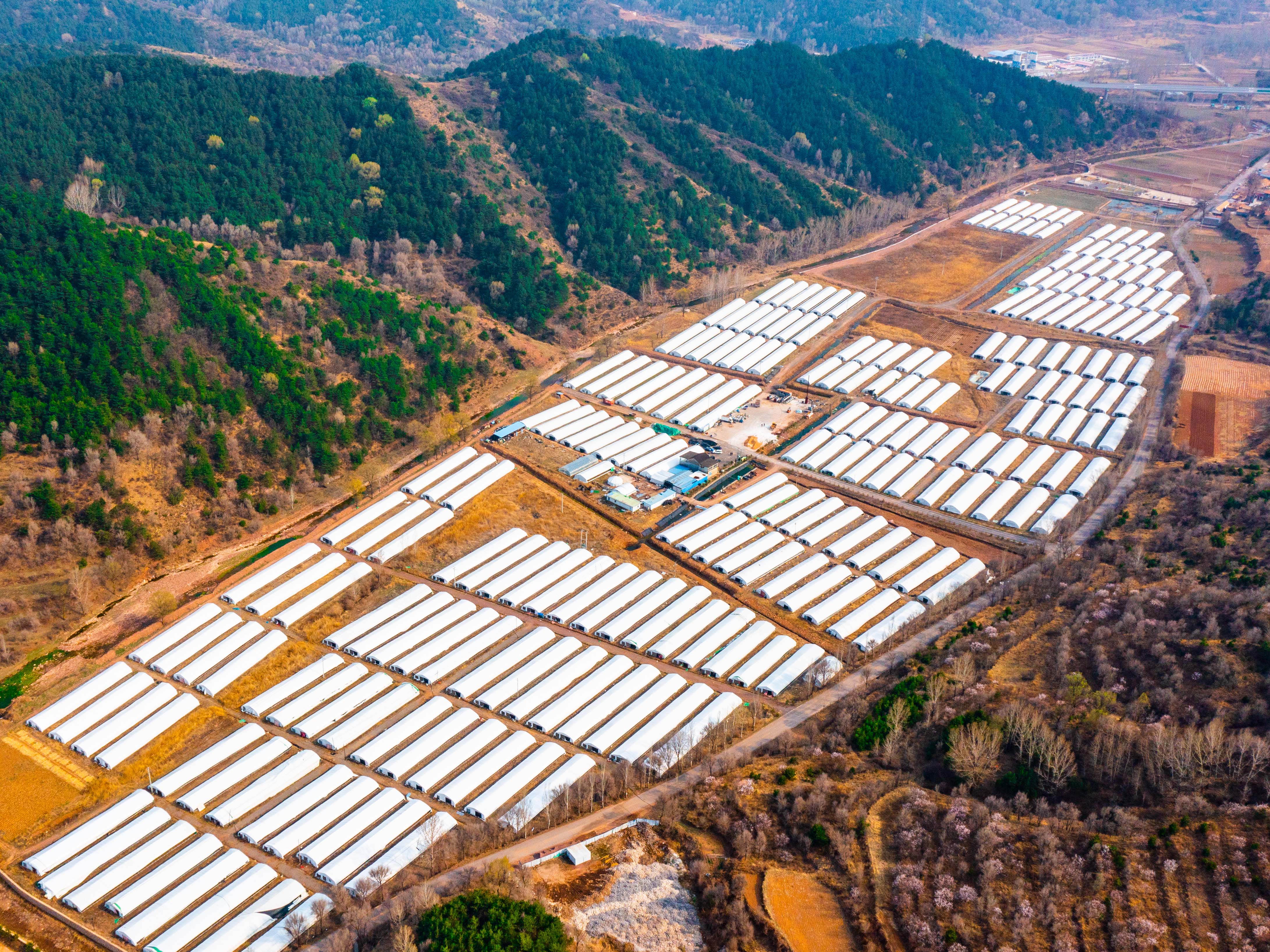 “千万工程”调研行②山西昔阳：“七型模式”引路美丽乡村和而不同杏彩体育(图2)