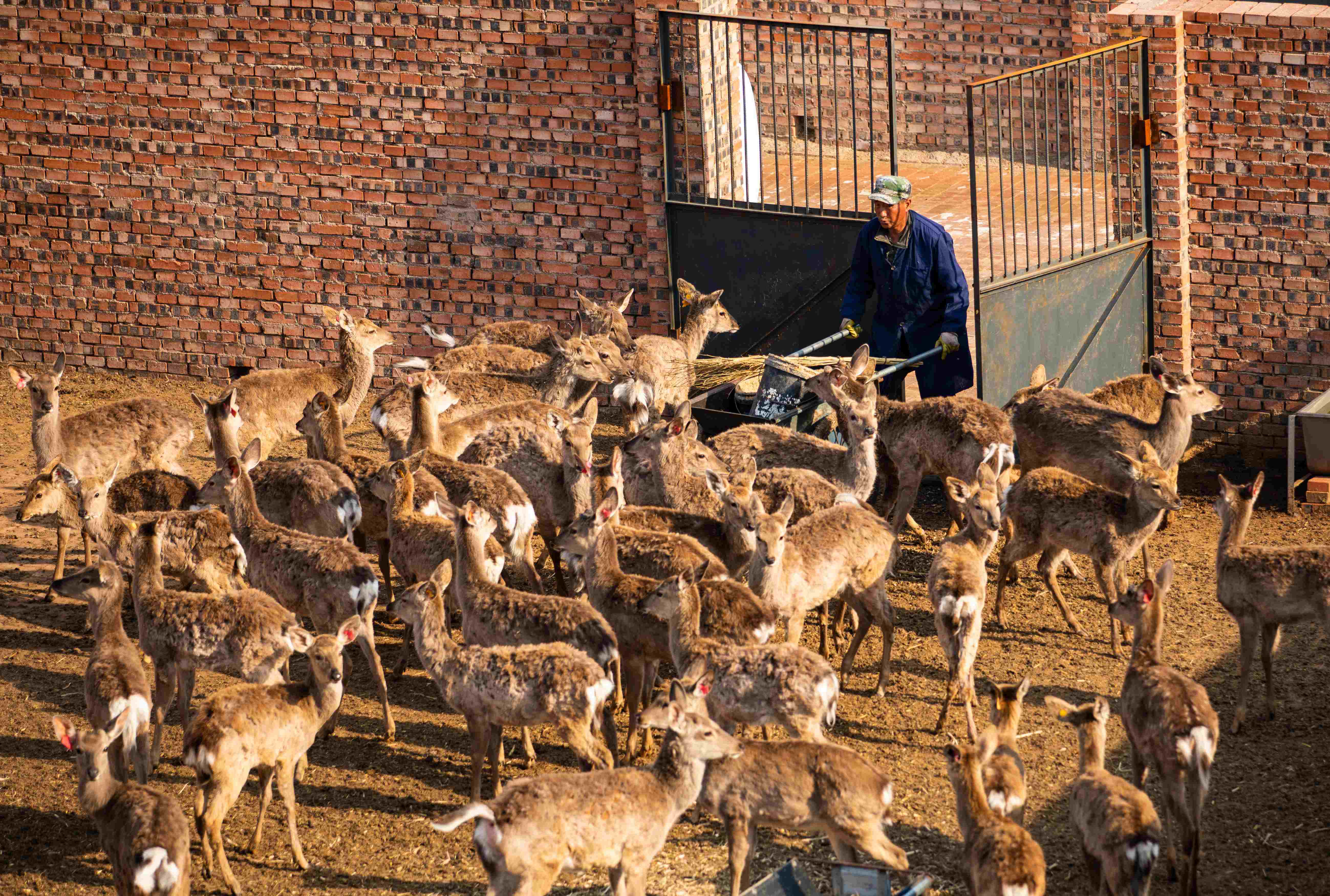 “千万工程”调研行②山西昔阳：“七型模式”引路美丽乡村和而不同杏彩体育(图5)