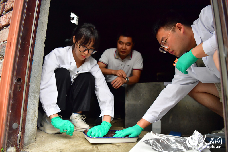 井冈深处有“鲵”家(图2)