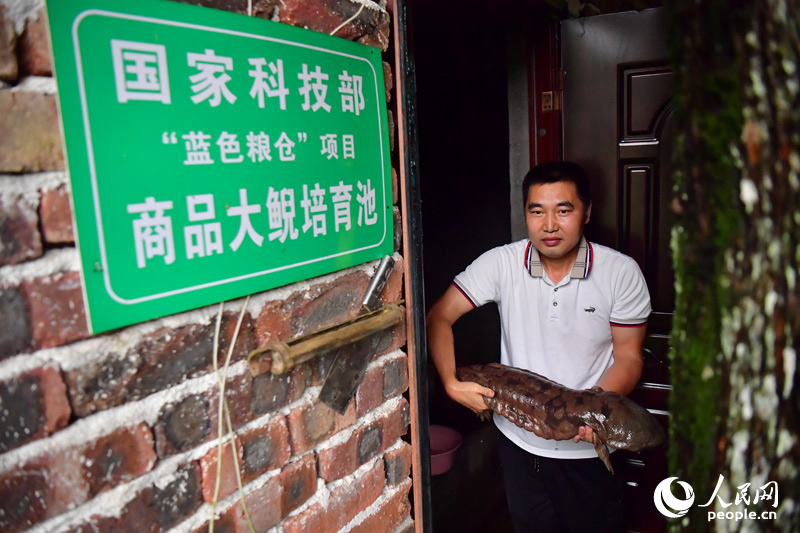 井冈深处有“鲵”家(图1)