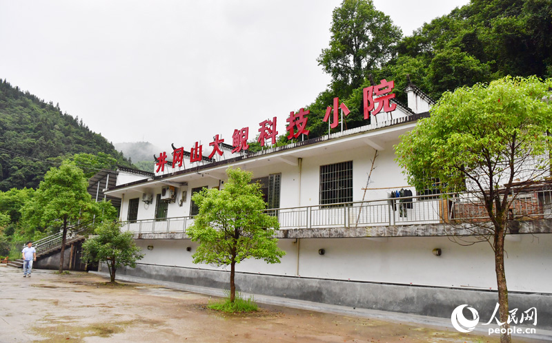 井冈深处有“鲵”家(图3)