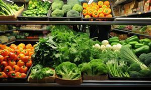 2024年中国家禽行业的产业链供需布局及重点企业情况(图6)