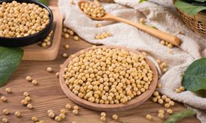 2024年中国家禽行业的产业链供需布局及重点企业情况(图3)