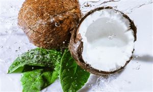 2024年中国家禽行业的产业链供需布局及重点企业情况(图4)