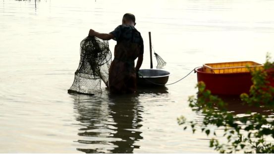 杏彩体育河南淮滨：小龙虾养殖助农增收(图1)