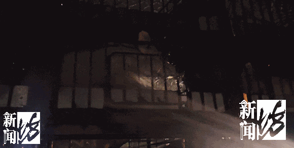 “悟空”救命!事发上海猪猪集体中暑!切勿误食有毒素(图1)