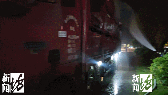 “悟空”救命!事发上海猪猪集体中暑!切勿误食有毒素(图2)