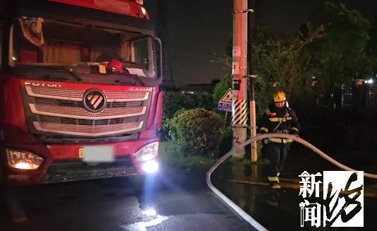 “悟空”救命!事发上海猪猪集体中暑!切勿误食有毒素(图4)