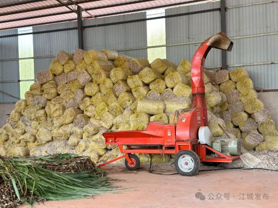 普洱江城：首个湖羊标准化生态养殖基地顺利完工(图3)