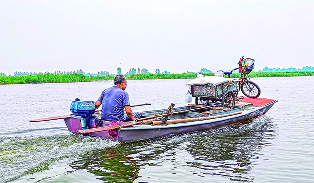 新白洋淀纪事(图2)