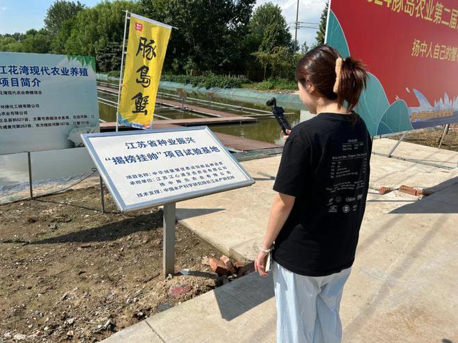 金秋蟹肥共襄盛举杏彩体育平台——2024豚岛农业第二届江水养殖蟹开捕节盛大开幕(图2)