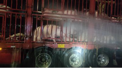 “二师兄”浑身被晒通红消防员出手了(图4)