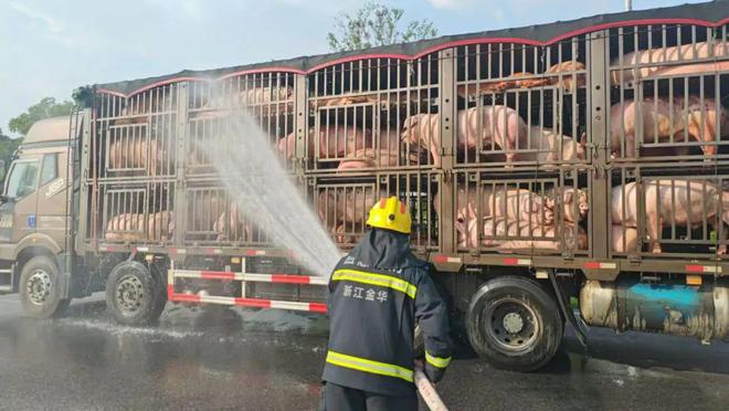 “二师兄”浑身被晒通红消防员出手了(图3)