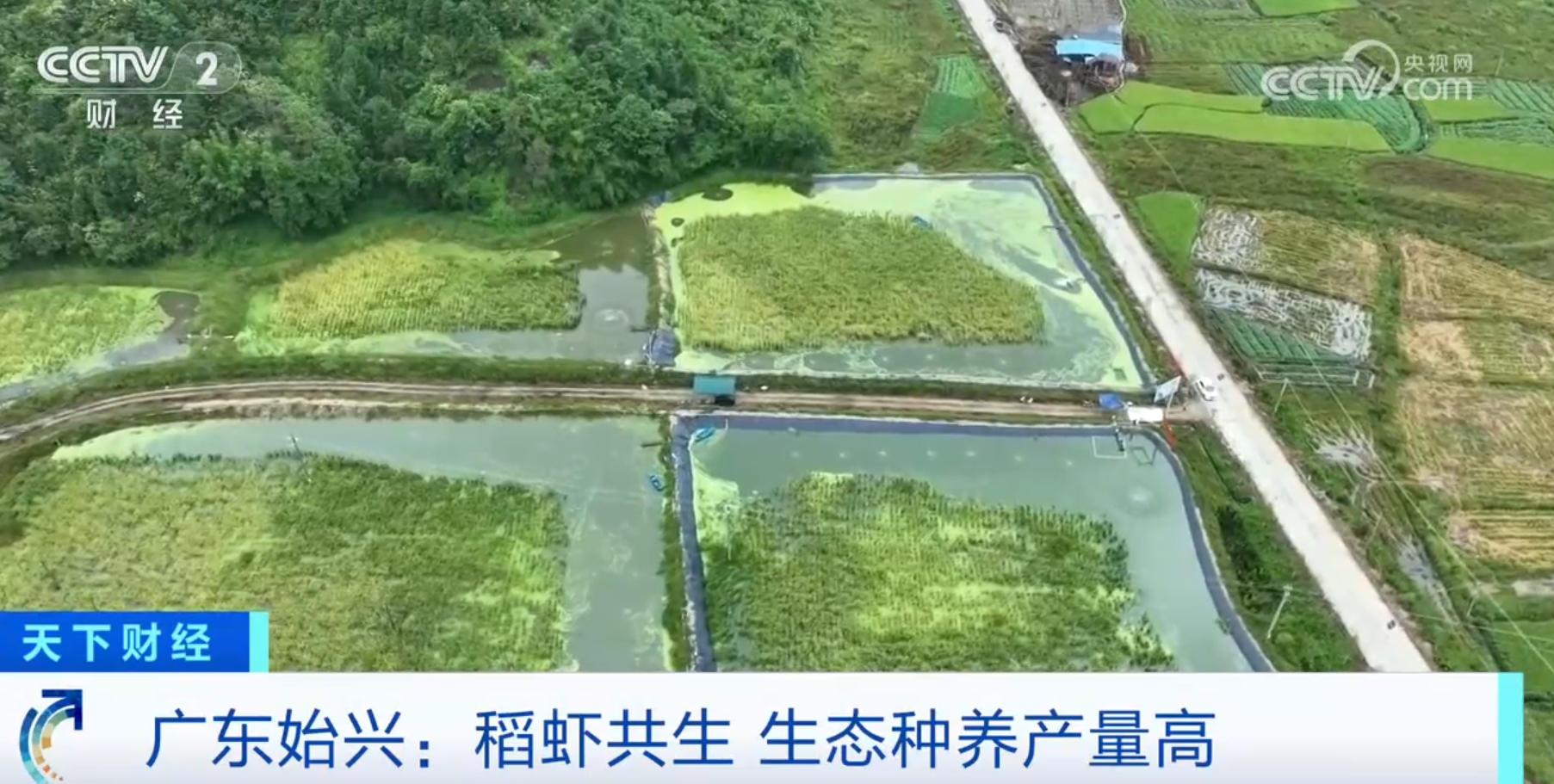 杏彩体育稻熟虾肥、果园飘香金秋时节各地“硕果累累”迎来好“丰”光(图3)