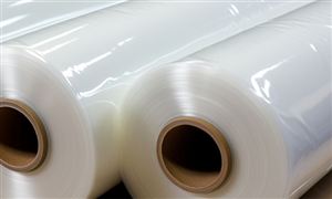 2024家禽饲养行业深度分析(图7)