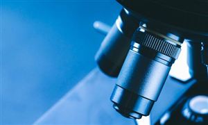 2024家禽饲养行业深度分析(图3)