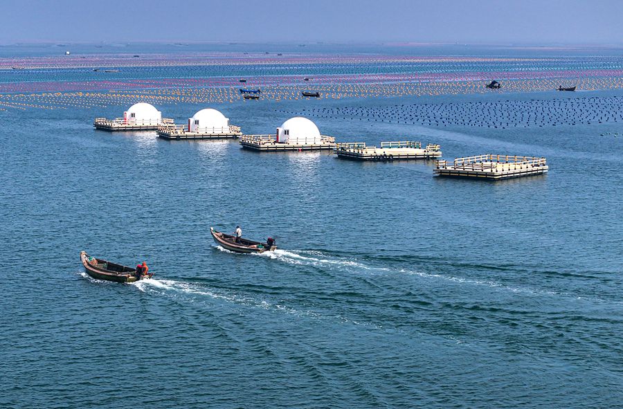 杏彩体育平台49万亿！看推进建设海洋强国取得这些新成效(图4)