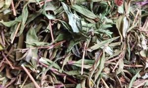 2杏彩体育平台024生态农业产业现状及发展态势(图7)