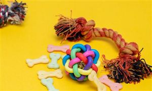 杏彩体育平台2024水产养殖行业方向展望:海鲜陆养成为水产养殖未来发展趋势(图14)