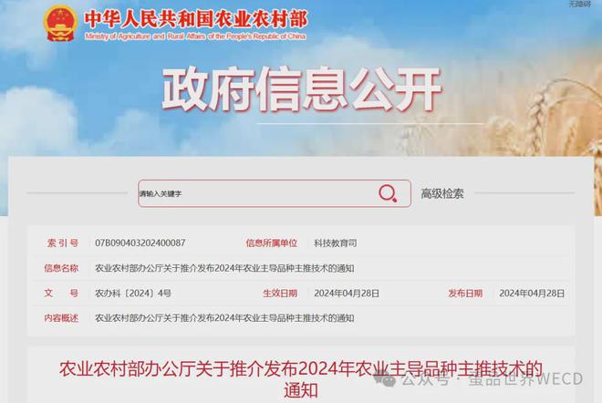 农业农村部：大午金凤、京粉6号为2024年两大农业主导蛋鸡品种(图1)