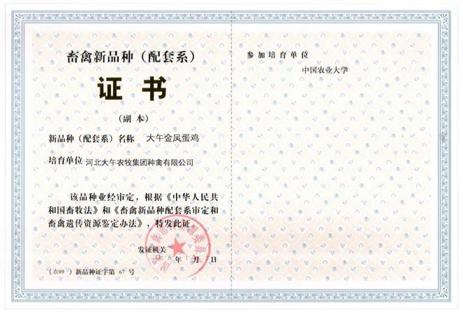 农业农村部：大午金凤、京粉6号为2024年两大农业主导蛋鸡品种(图3)