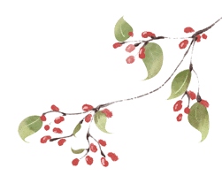 百年未遇的山洪过后黑熊为何选择下山？知识科普(图3)