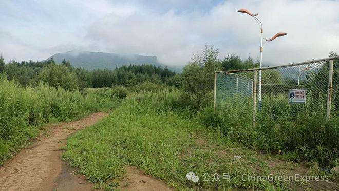 百年未遇的山洪过后黑熊为何选择下山？知识科普(图1)