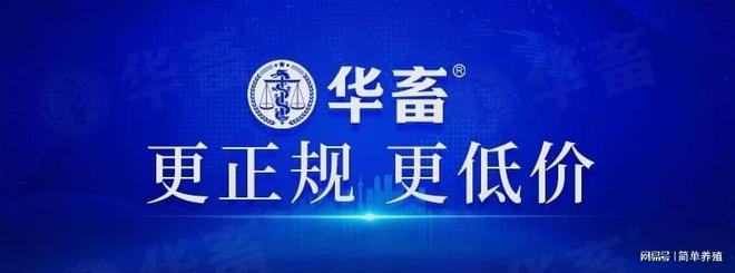 杏彩体育平台中国兽药十大品牌有哪些(图1)