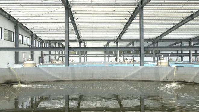 安顺经开区:海洋生态养殖让南美白对虾深山“安家”(图1)