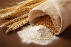 杏彩体育平台2024全国现代设施农业建设规划与政策(图3)