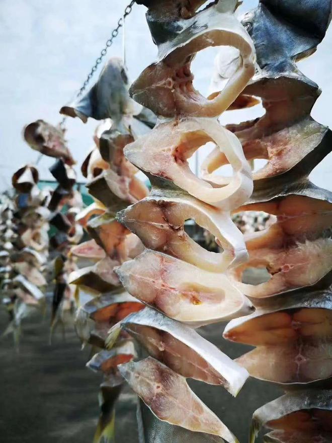 90%杏彩体育平台养殖户惨亏一年已过!2024养什么能一塘鱼赚百万?这些品种值得期待(图9)