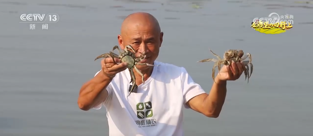 各地特色农产品产销两旺映出金秋好“丰”光(图5)