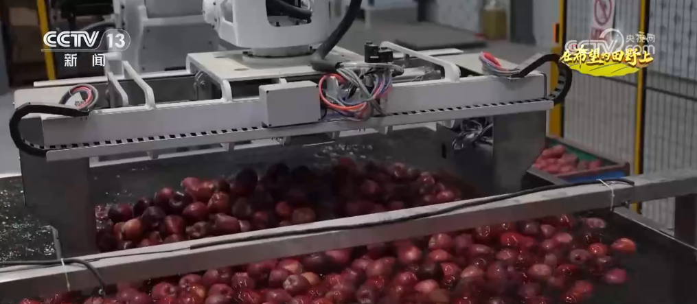 各地特色农产品产销两旺映出金秋好“丰”光(图2)