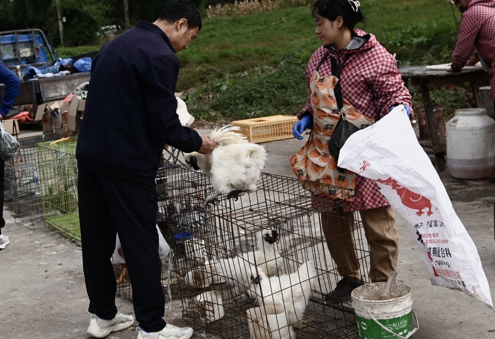 秋日大集里的烟火盛景(图9)