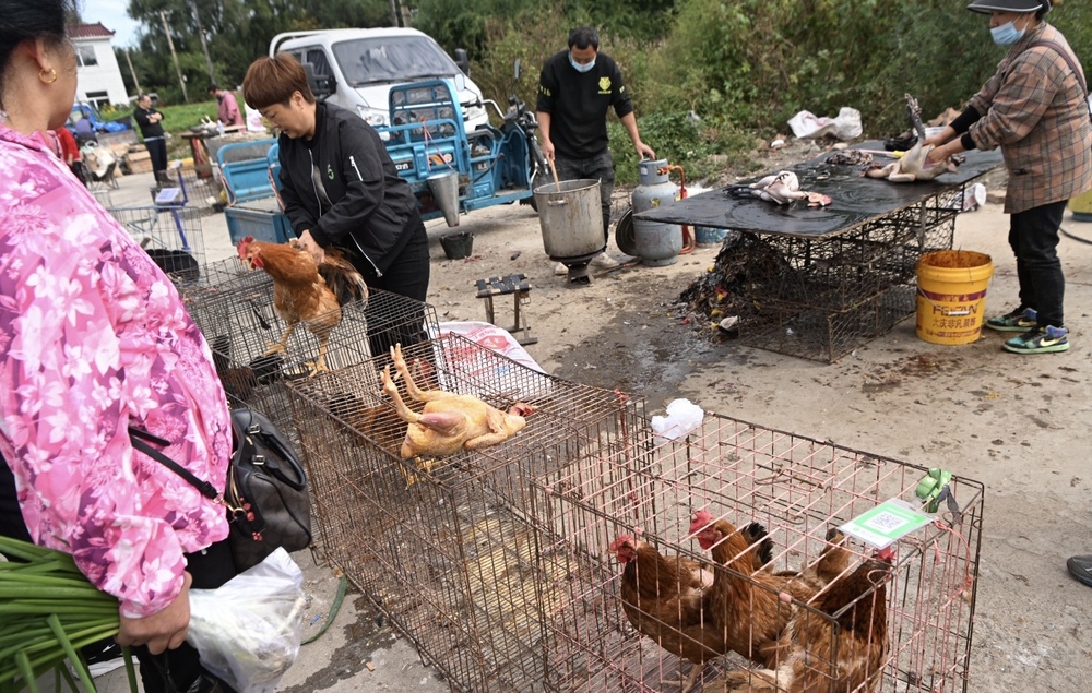 秋日大集里的烟火盛景(图10)