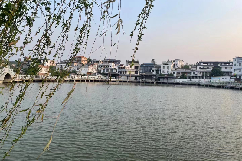 不容污染容绿色容县以生态绿色促高质量发展杏彩体育平台(图2)