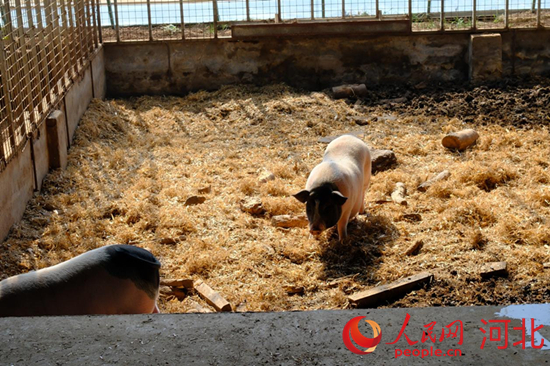 念好“产业经”德胜也“得胜”(图2)