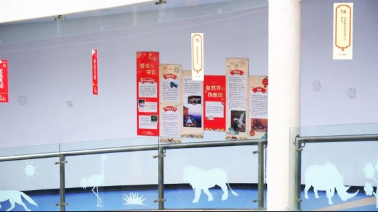 20杏彩体育平台24上海动物园龙年生肖文化系列活动热闹登场(图3)