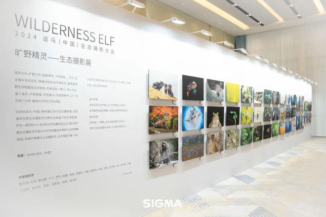影赛启动2024适马（中国）首届生态摄影大会圆满举行生态摄影大赛正式开始报名！杏彩体育平台(图3)